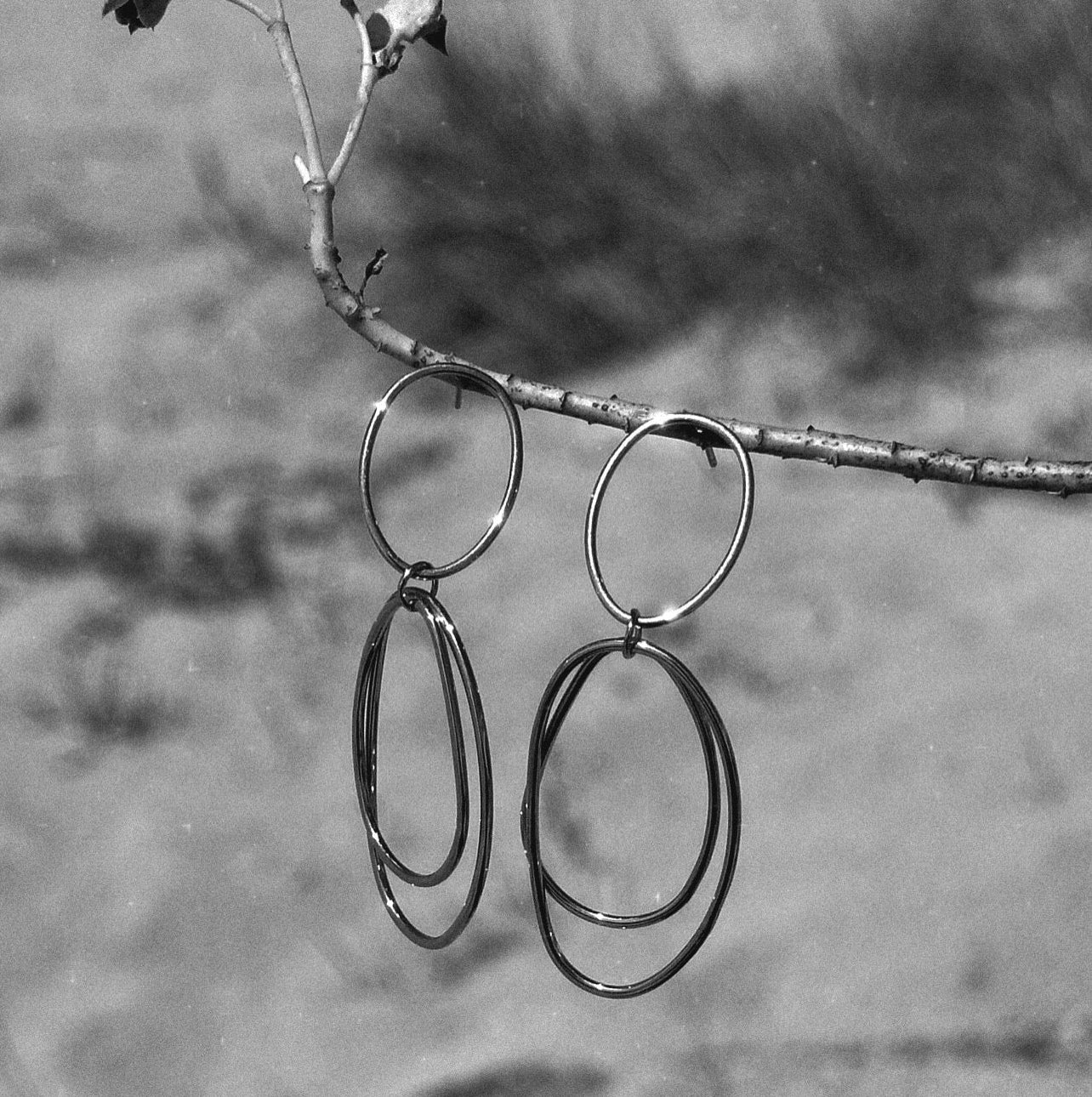 Laurent Earrings